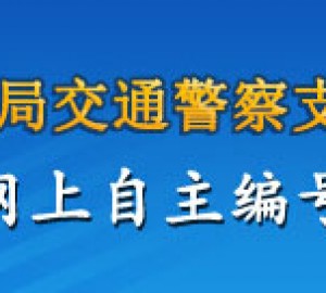 陕西省网上自选车牌指南