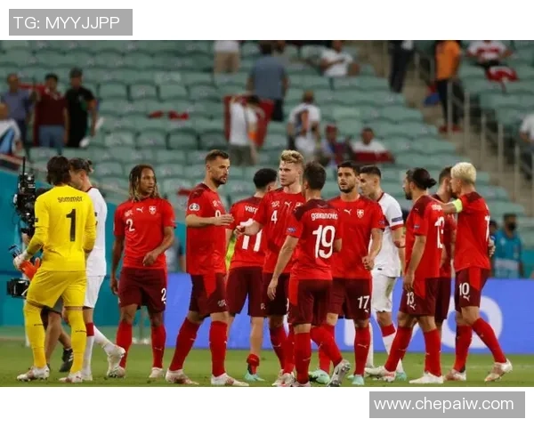 2017年奥地利与芬兰足球友谊赛精彩回顾与分析 2017年奥地利与芬兰足球友谊赛精彩回顾与分析