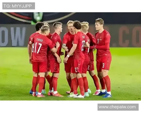 丹麦与波兰世预赛2017精彩对决回顾与分析 丹麦与波兰世预赛2017精彩对决回顾与分析