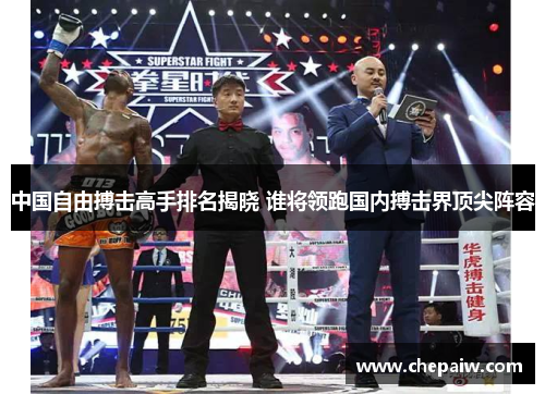 中国自由搏击高手排名揭晓 谁将领跑国内搏击界顶尖阵容