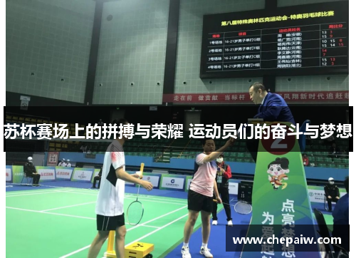苏杯赛场上的拼搏与荣耀 运动员们的奋斗与梦想