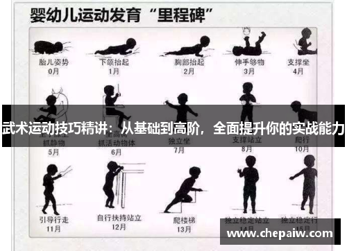 武术运动技巧精讲：从基础到高阶，全面提升你的实战能力