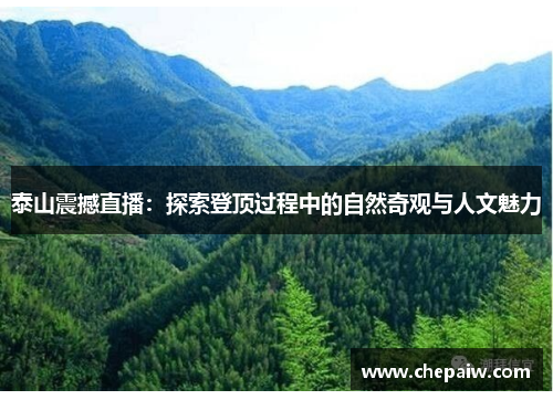 泰山震撼直播：探索登顶过程中的自然奇观与人文魅力