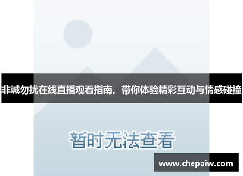 非诚勿扰在线直播观看指南，带你体验精彩互动与情感碰撞